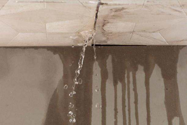 Professional Burst Pipe Cleanup technician working in Mims, FL